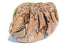 Colombetti Vintage Python Bag Mauve Multi Made in Italy Timeless Martha's Vineyard 